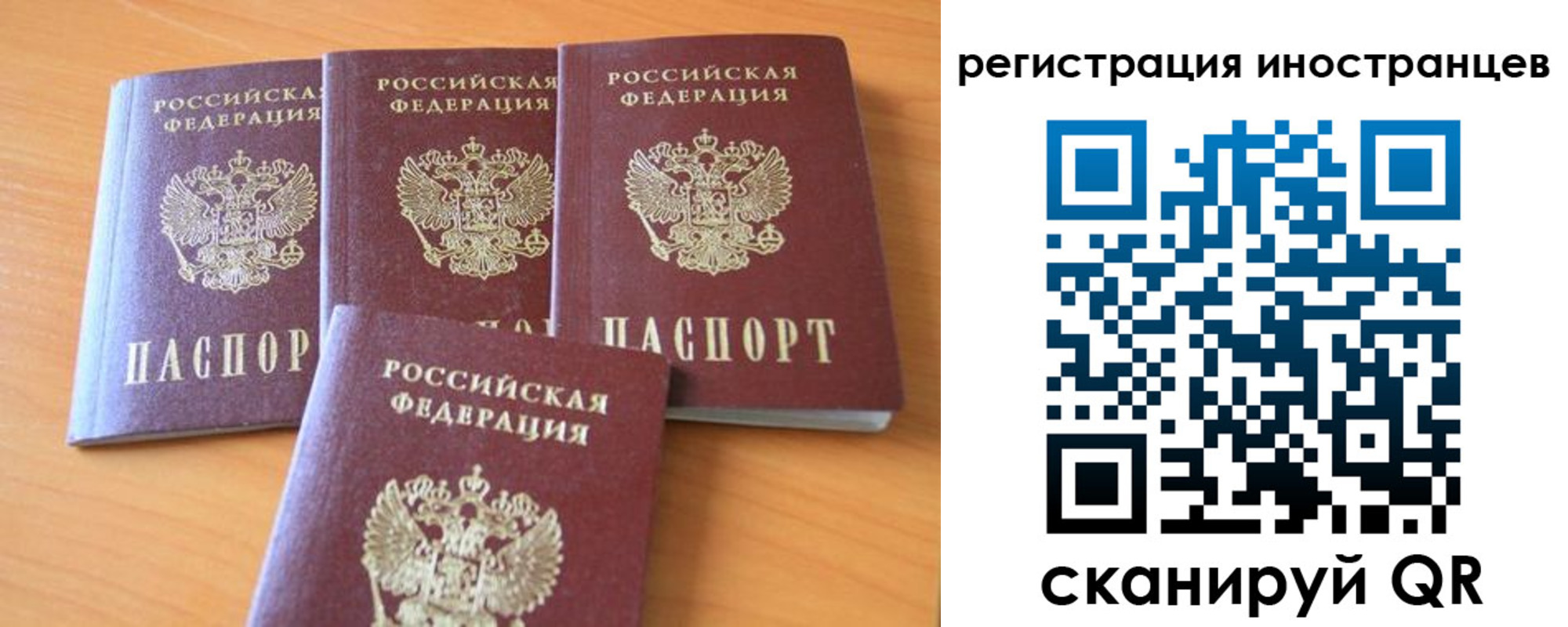 временная регистрация гарантия в Владимирской области